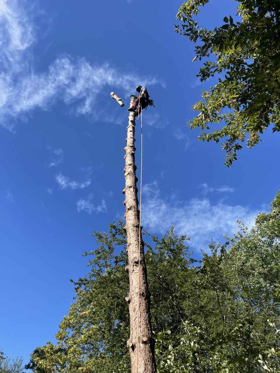 GARTENZEIT GmbH Gartenbauprojekt