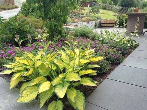 GARTENZEIT GmbH Gartenbauprojekt