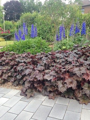 GARTENZEIT GmbH Gartenbauprojekt