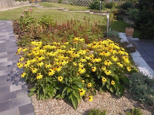 GARTENZEIT GmbH Gartenbauprojekt