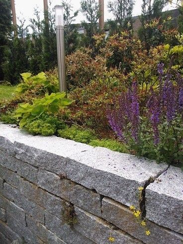 GARTENZEIT GmbH Gartenbauprojekt Hausgarten Steinmauer Hochbeet