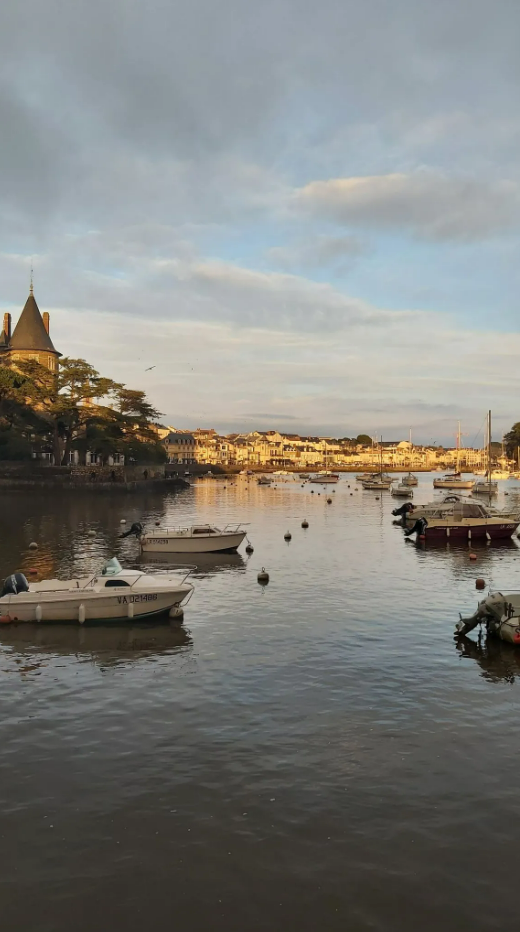 Bateaux de plaisance amarrés et ville côtière en second plan