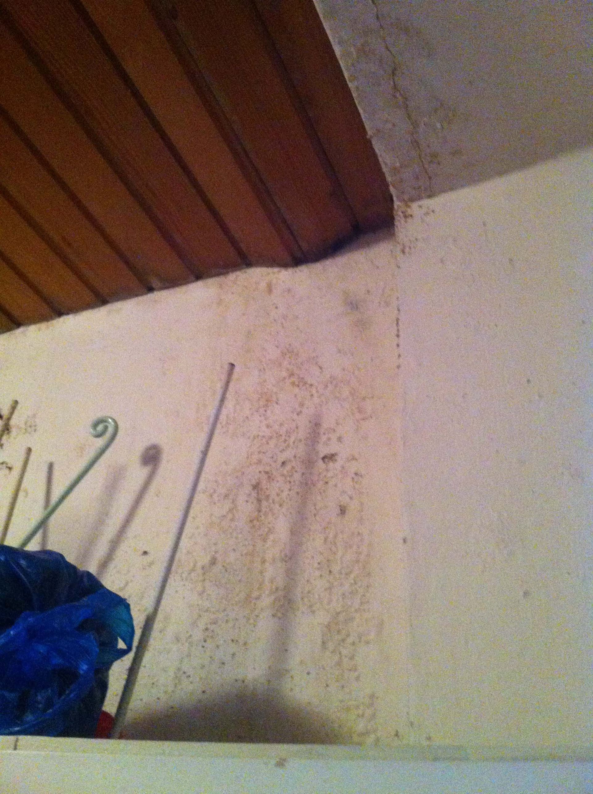 Plâtrerie–Pascal Magnin Peinture-St-Maurice