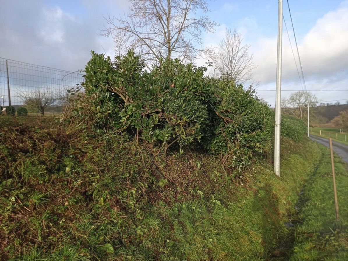 Talus herbeux en bord de route, couvert de buissons denses, avec un poteau électrique sous un ciel partiellement nuageux
