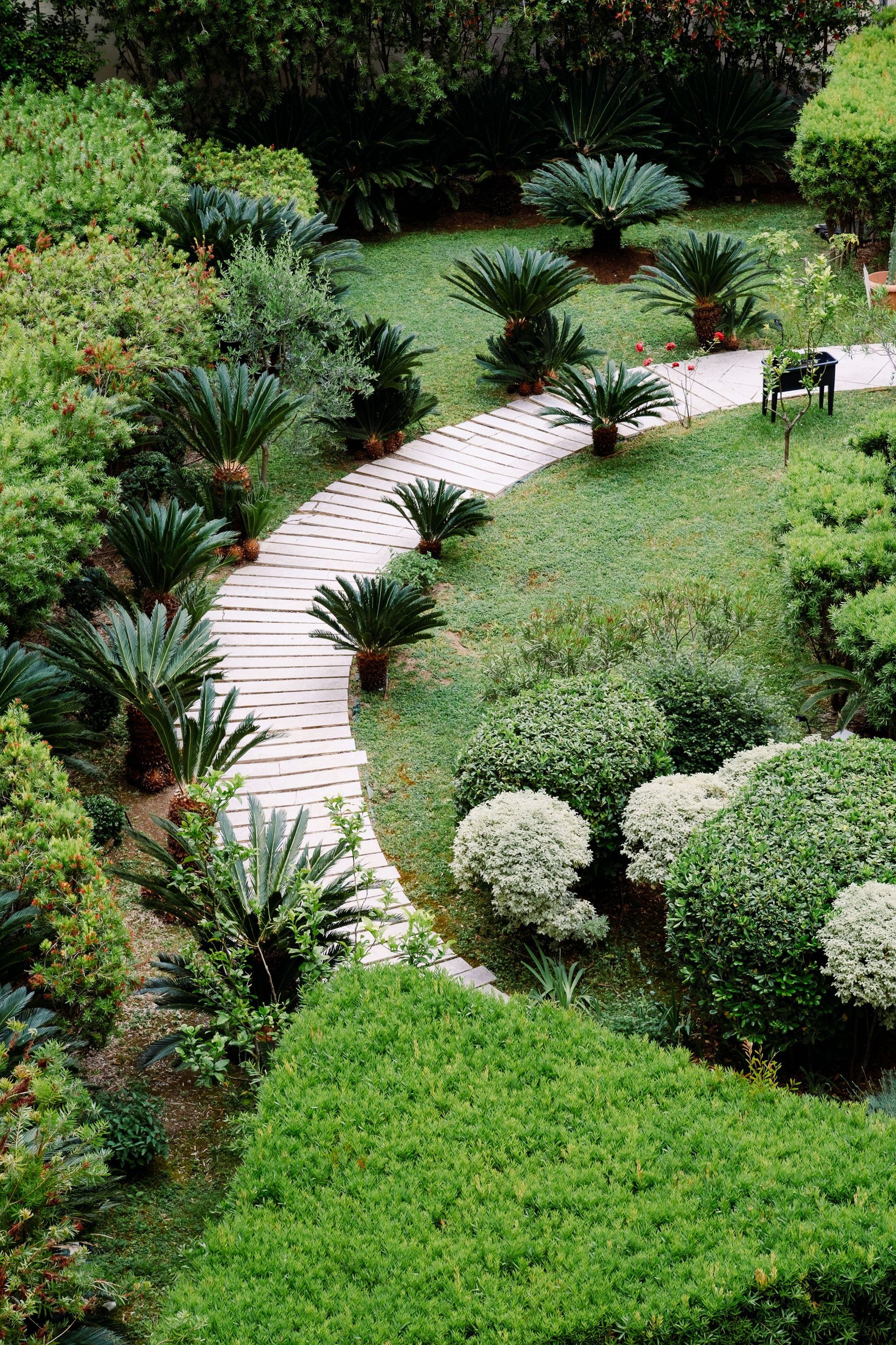 Allée sinueuse bordée de plantes et d’arbustes verdoyants dans un jardin paysager