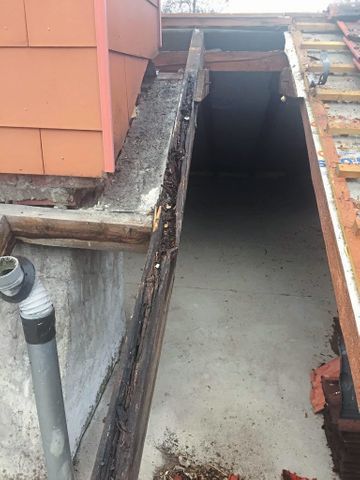 Reparatur Dachsparren