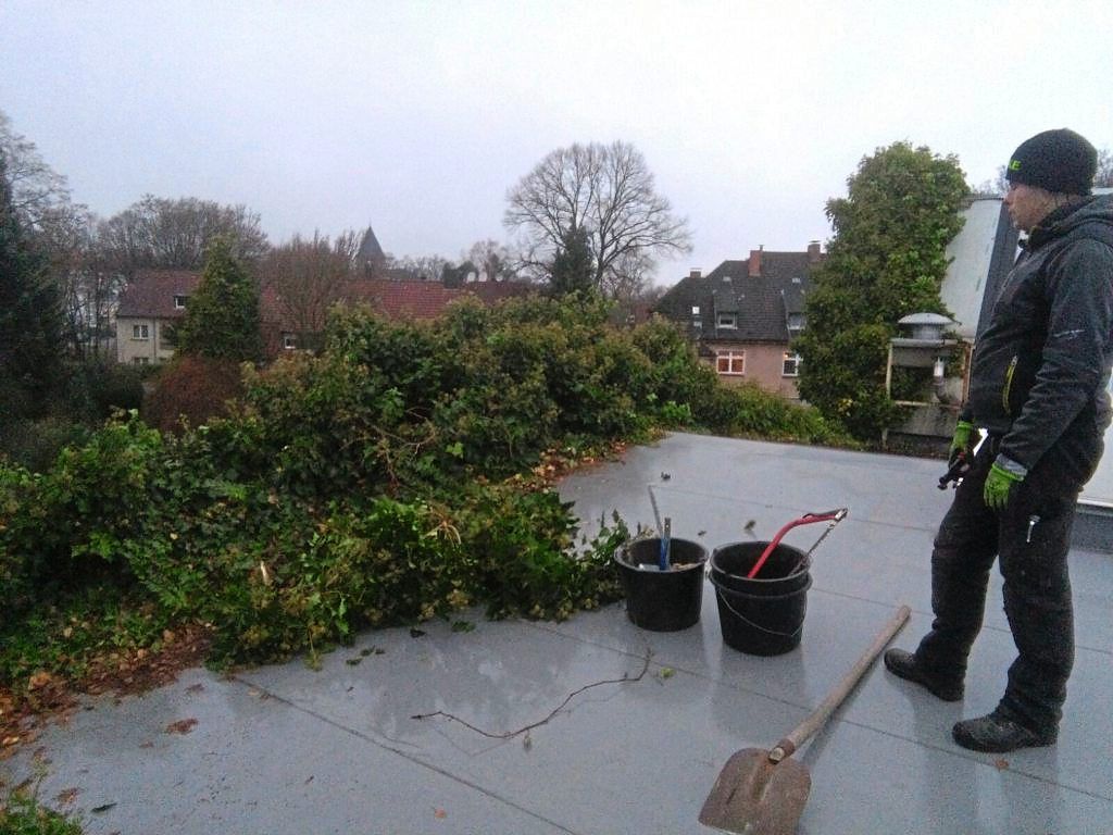 Reparaturarbeiten mit Pflanzen