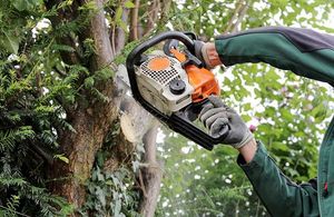 Eine Person fällt mit einer Kettensäge einen Baum.