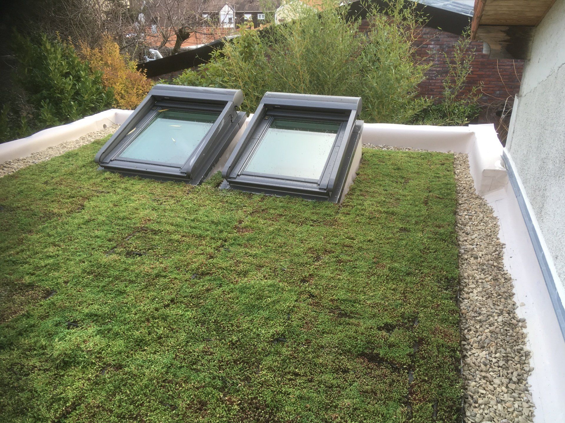 Végétalisation cassettes type Sarnapack.