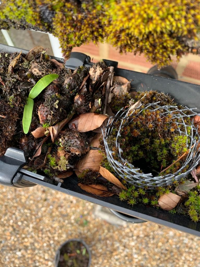 Woven planter basket with green plants and dried leaves on a balcony ledge