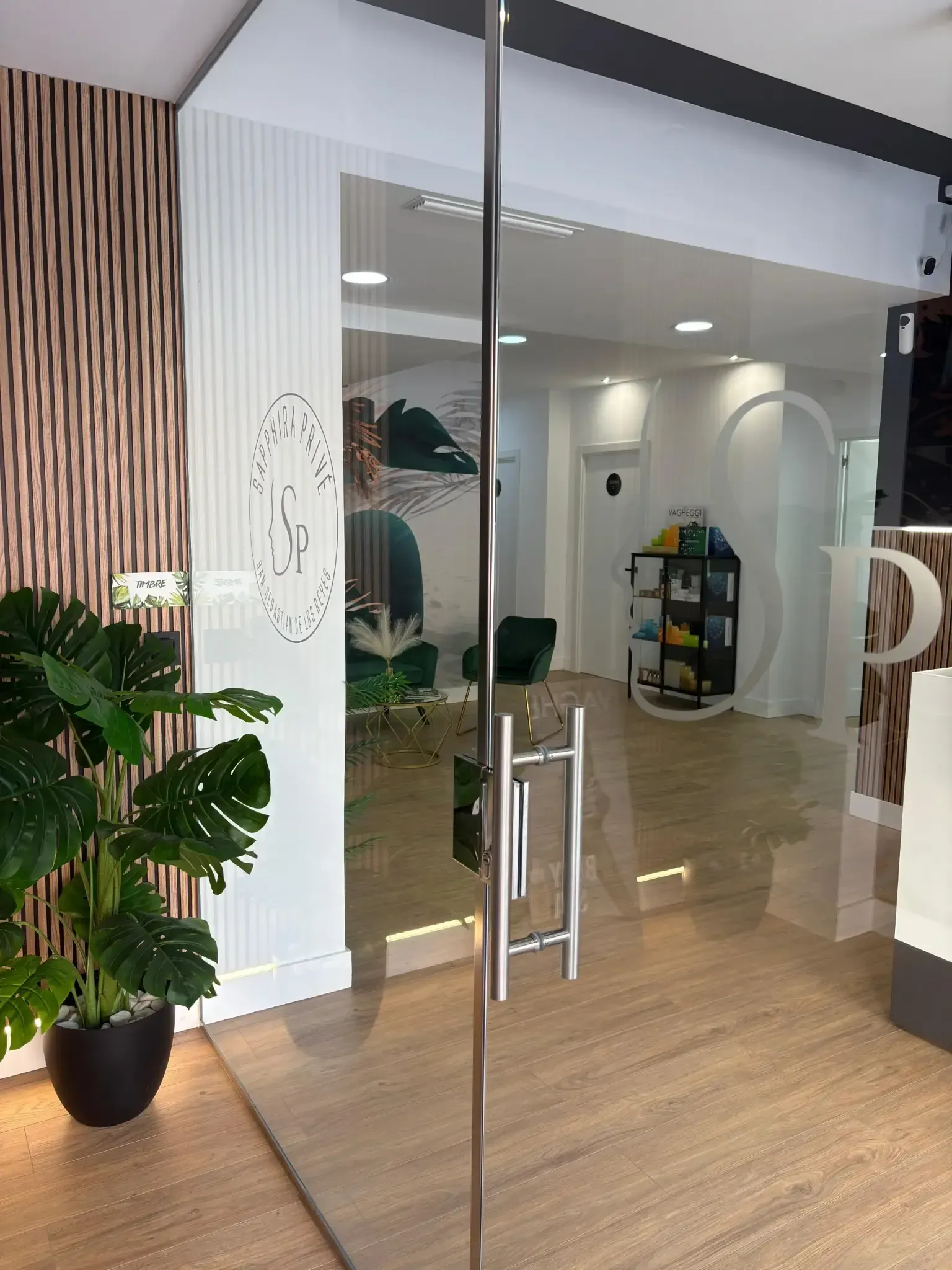 Entrada con puerta de vidrio a una oficina moderna, con una planta, una pared decorativa y una vista al interior.