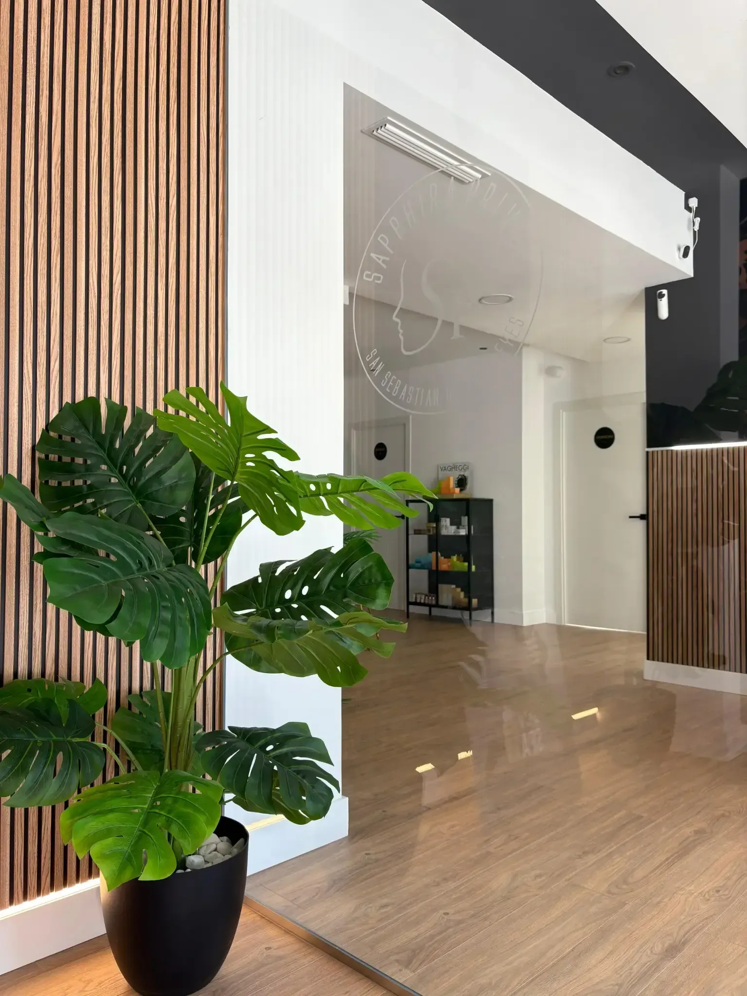 Vista interior de un edificio moderno con paneles de madera, una gran planta en maceta y un pasillo que conduce a otras habitaciones.