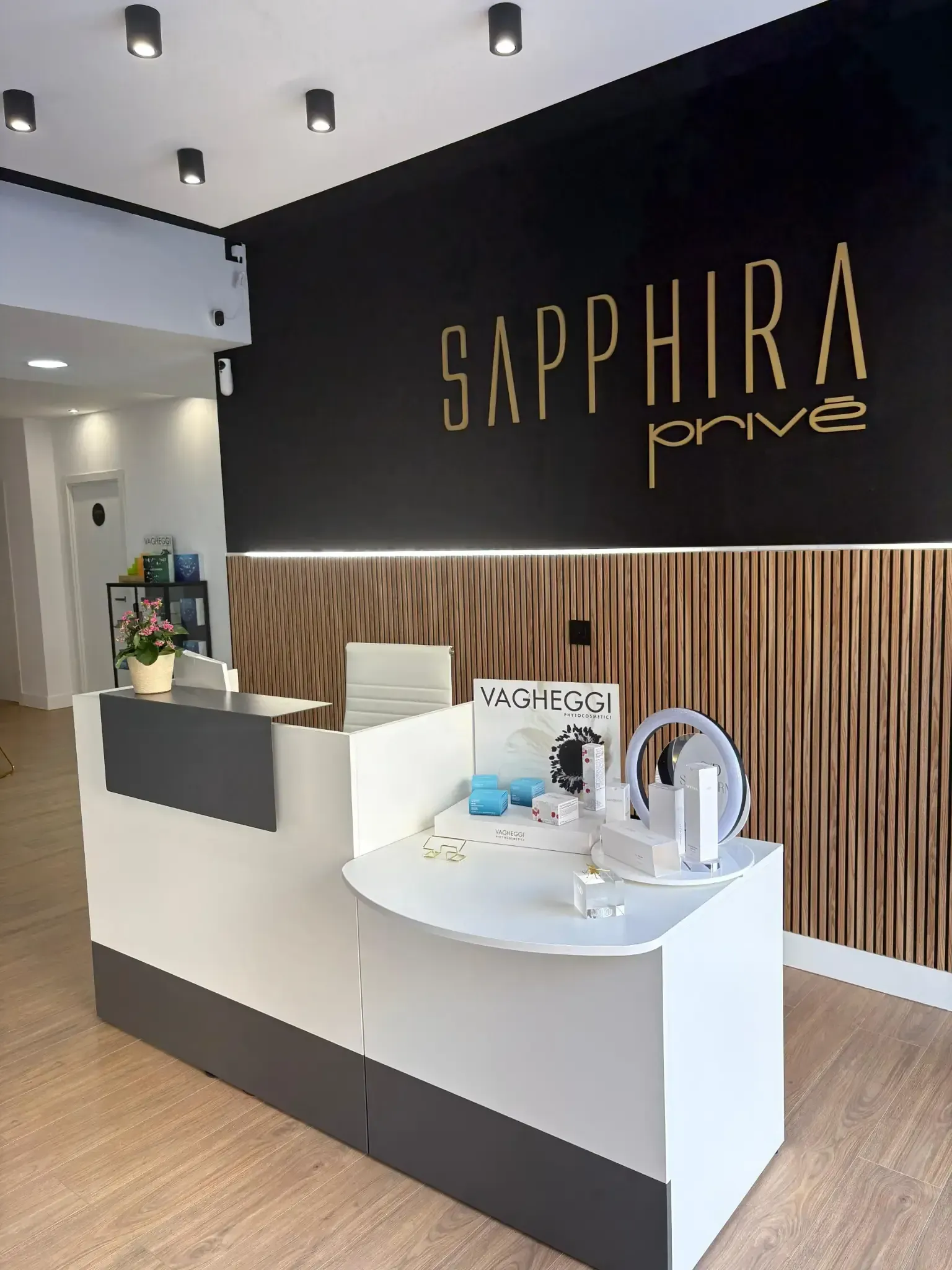 Ilustración abstracta de una montaña y un círculo, probablemente representando un sol, en tonos de gris.