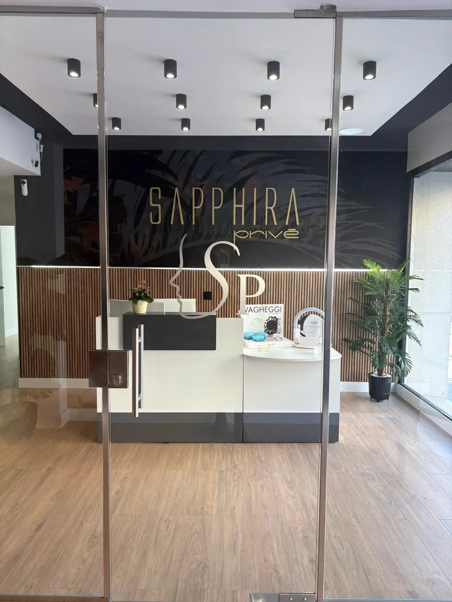 Interior del spa Sapphira con mostrador de recepción, logotipo en la pared, detalles de madera y planta en maceta.