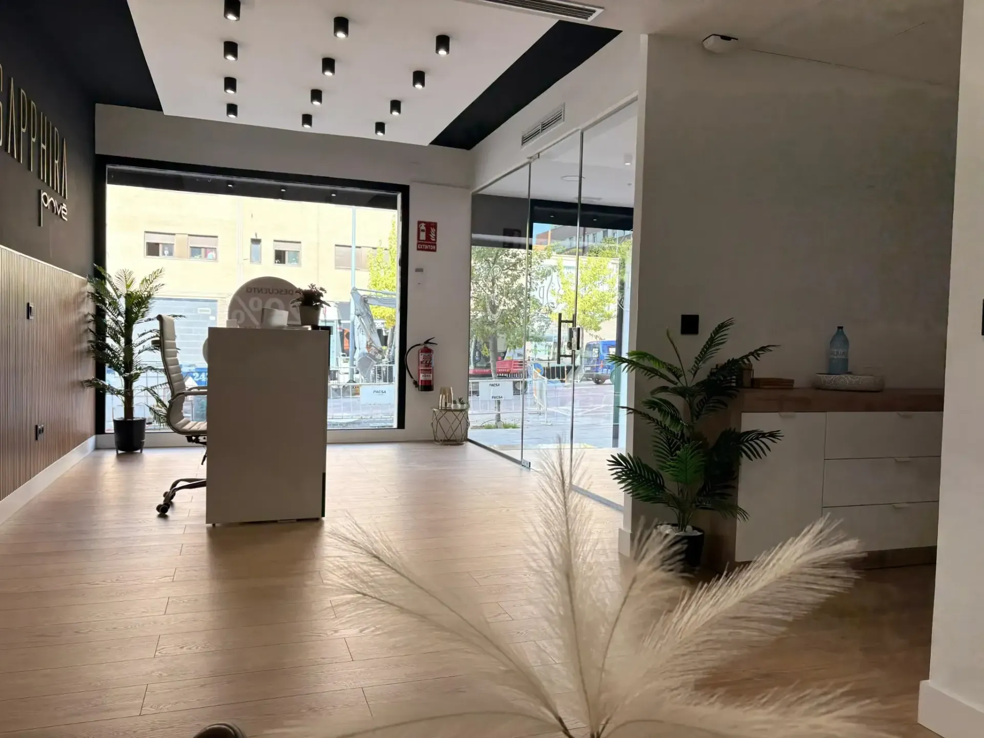 Interior de tienda bien iluminado con escaparate de cristal, pisos de madera y plantas en macetas.