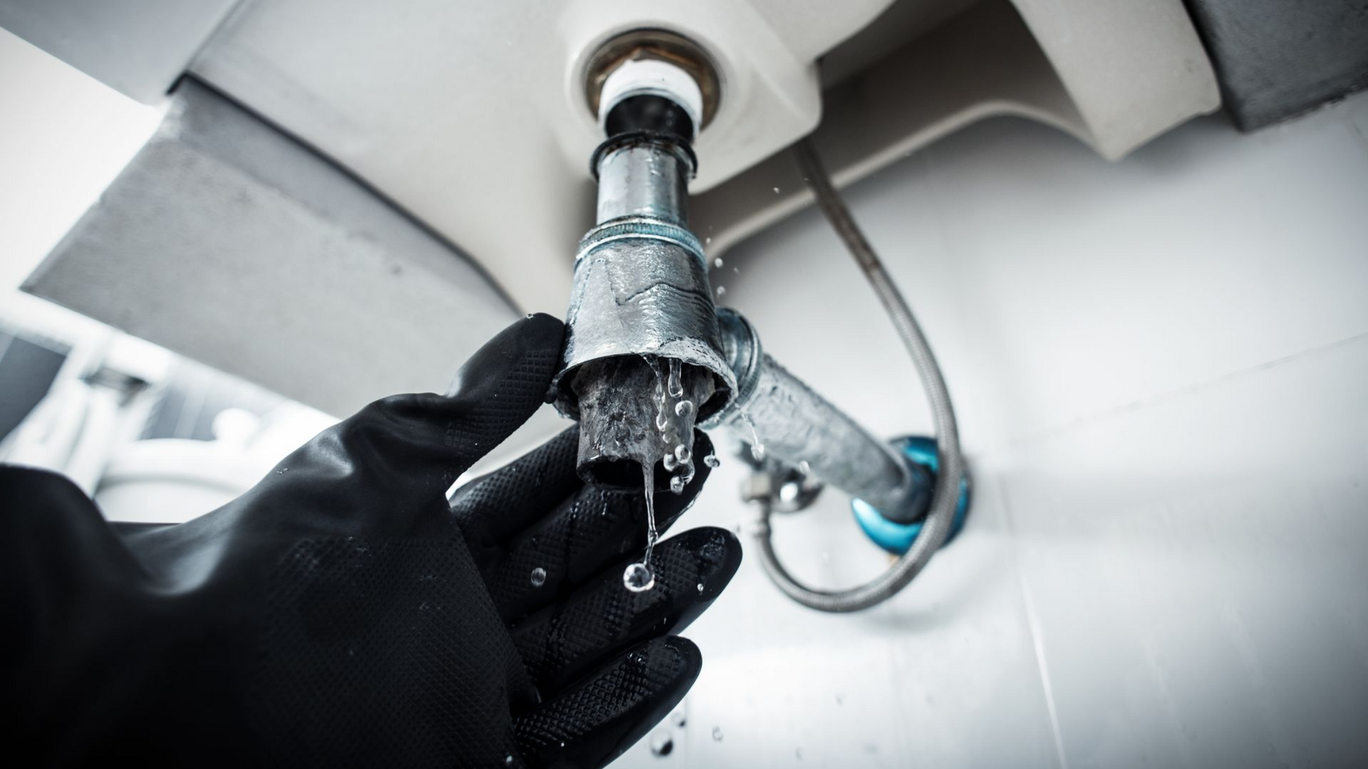 Main gantée vide le siphon d'un lavabo, dans une salle de bains.