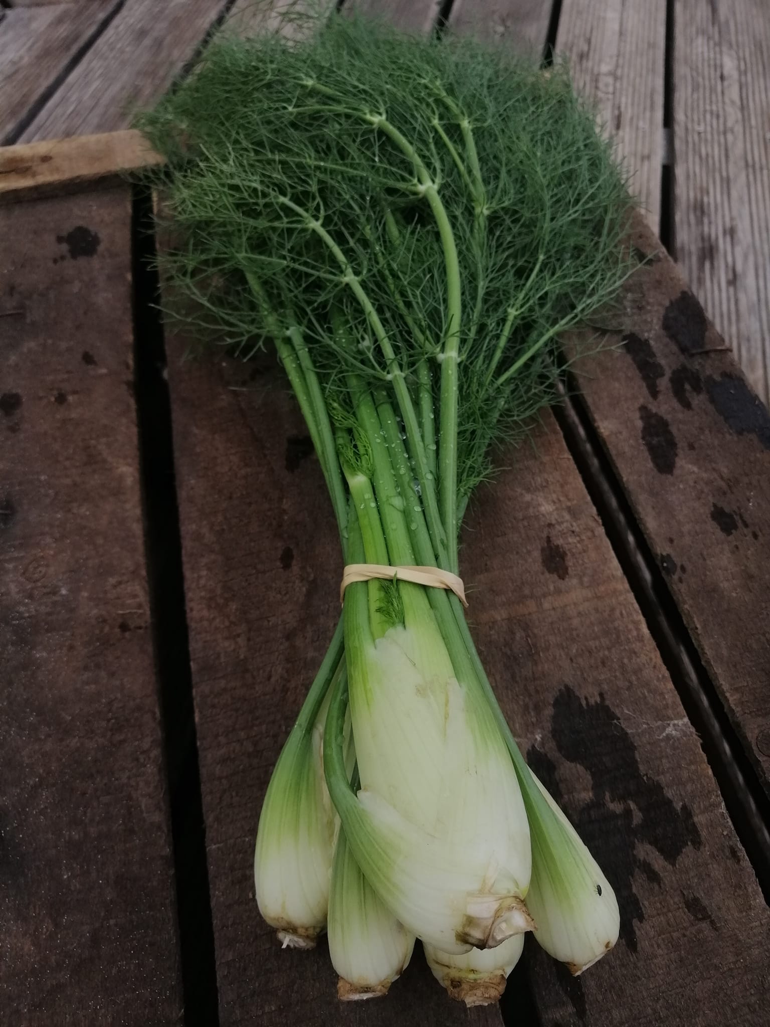 Botte de légumes