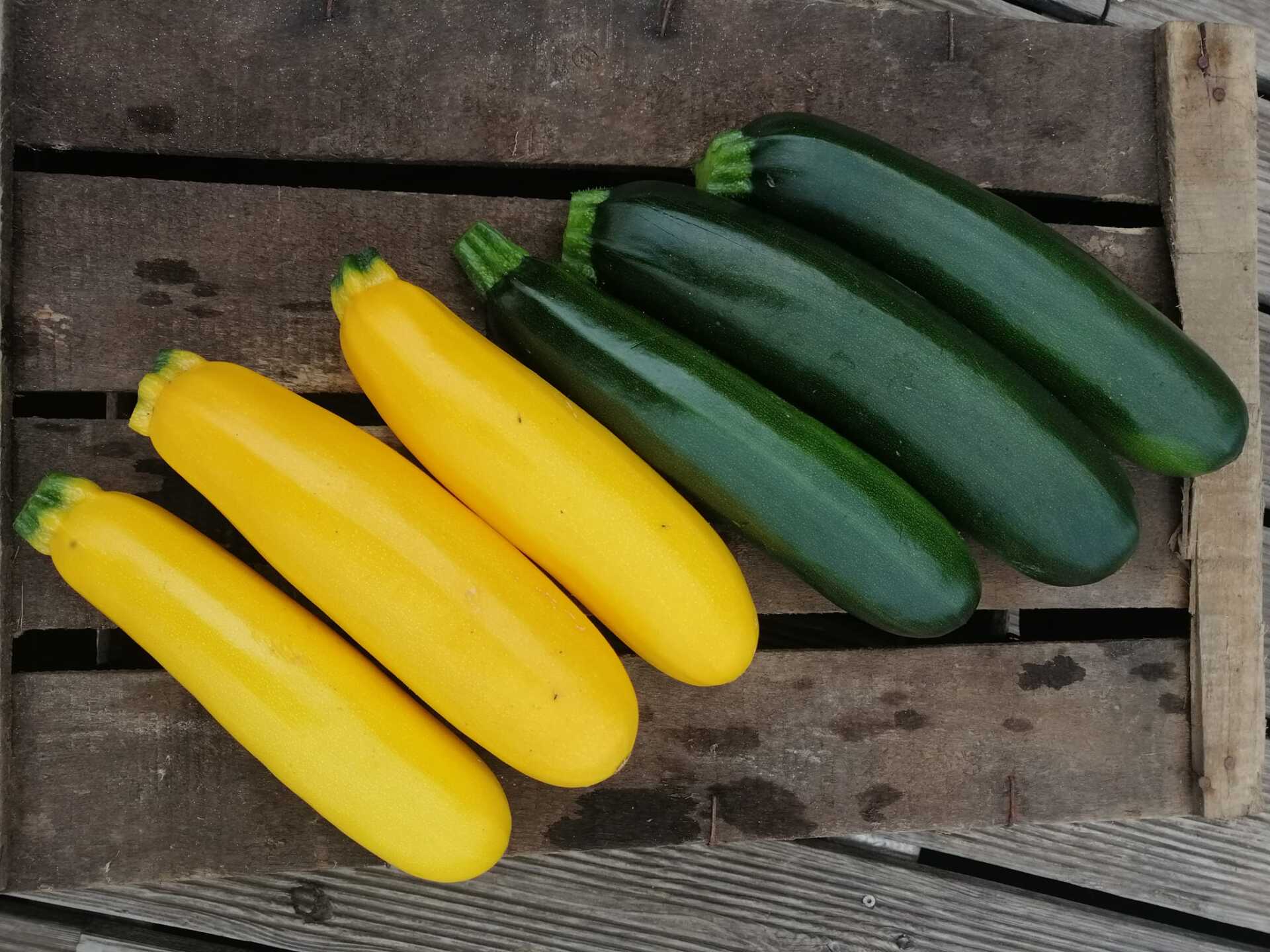 Courgettes