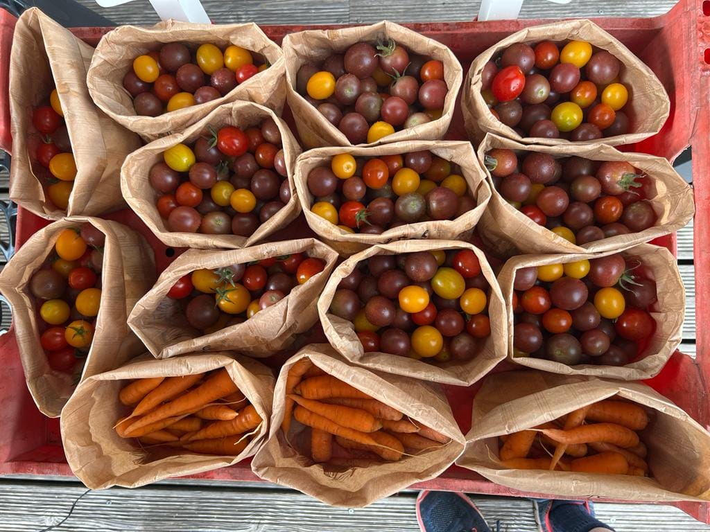 Sacs de tomates cerises