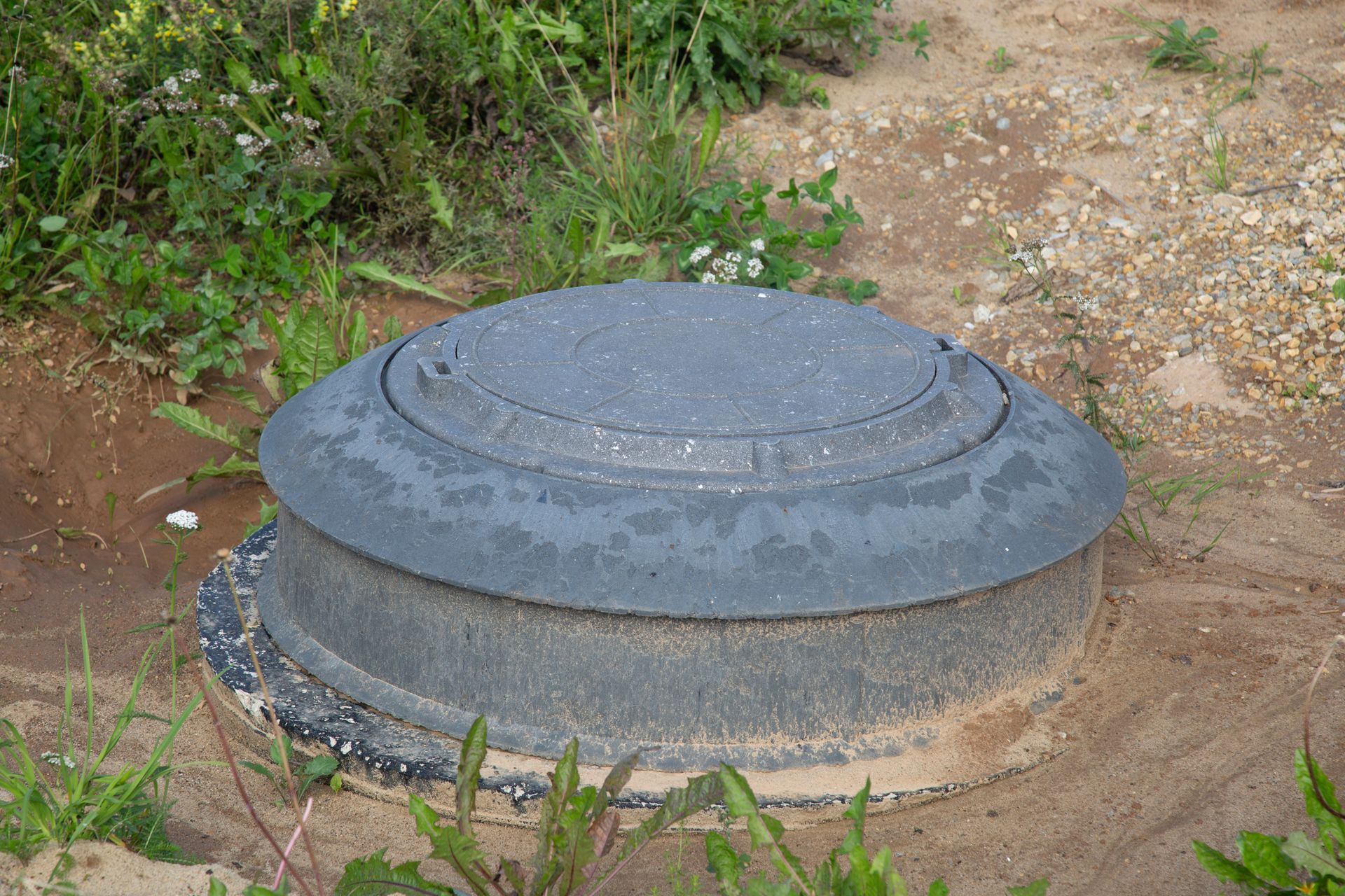 Plaque d'égout en béton recouverte de terre et d'herbe.
