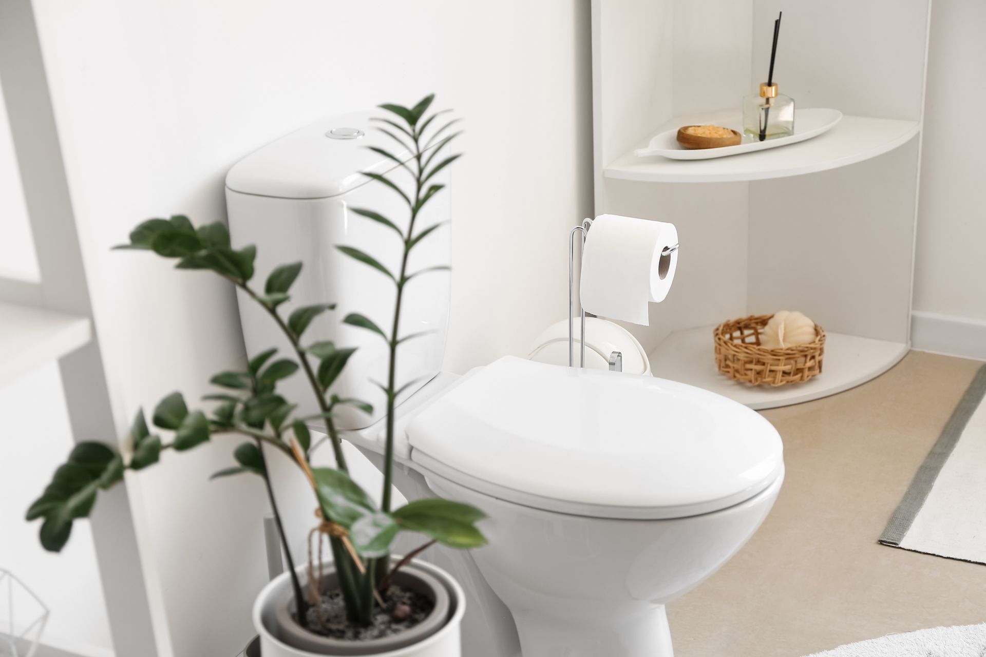 Toilettes blanches avec abattant fermé, plante en pot et étagères dans une salle de bains lumineuse.
