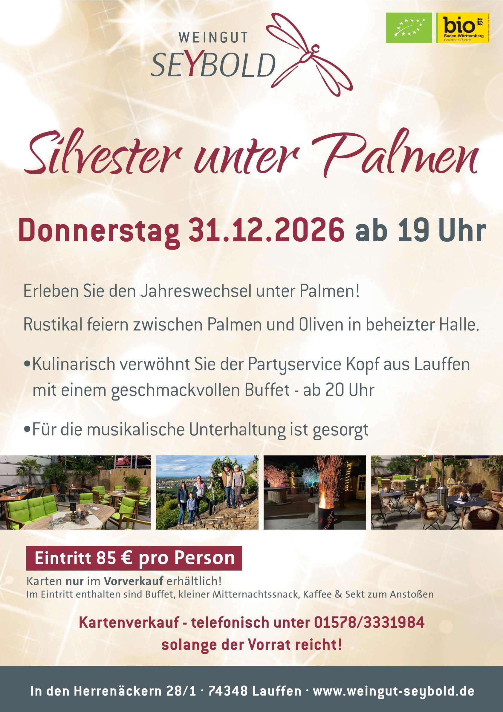 Silvester-Partyplakat mit Palmendeko, Datum 31.12.2026, Uhrzeit 19 Uhr und Veranstaltungsdetails