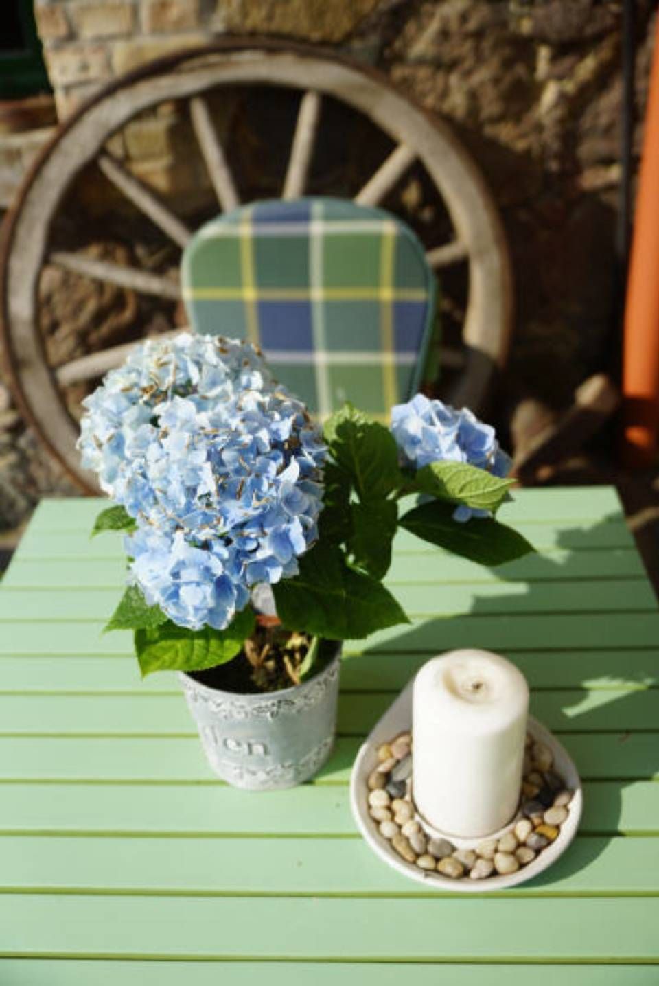 Stillleben mit Kerze und Hyazinthe