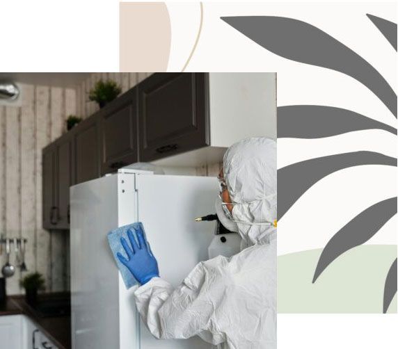 Erikoissiivous ja hajunpoisto_ Go Siivous Oy