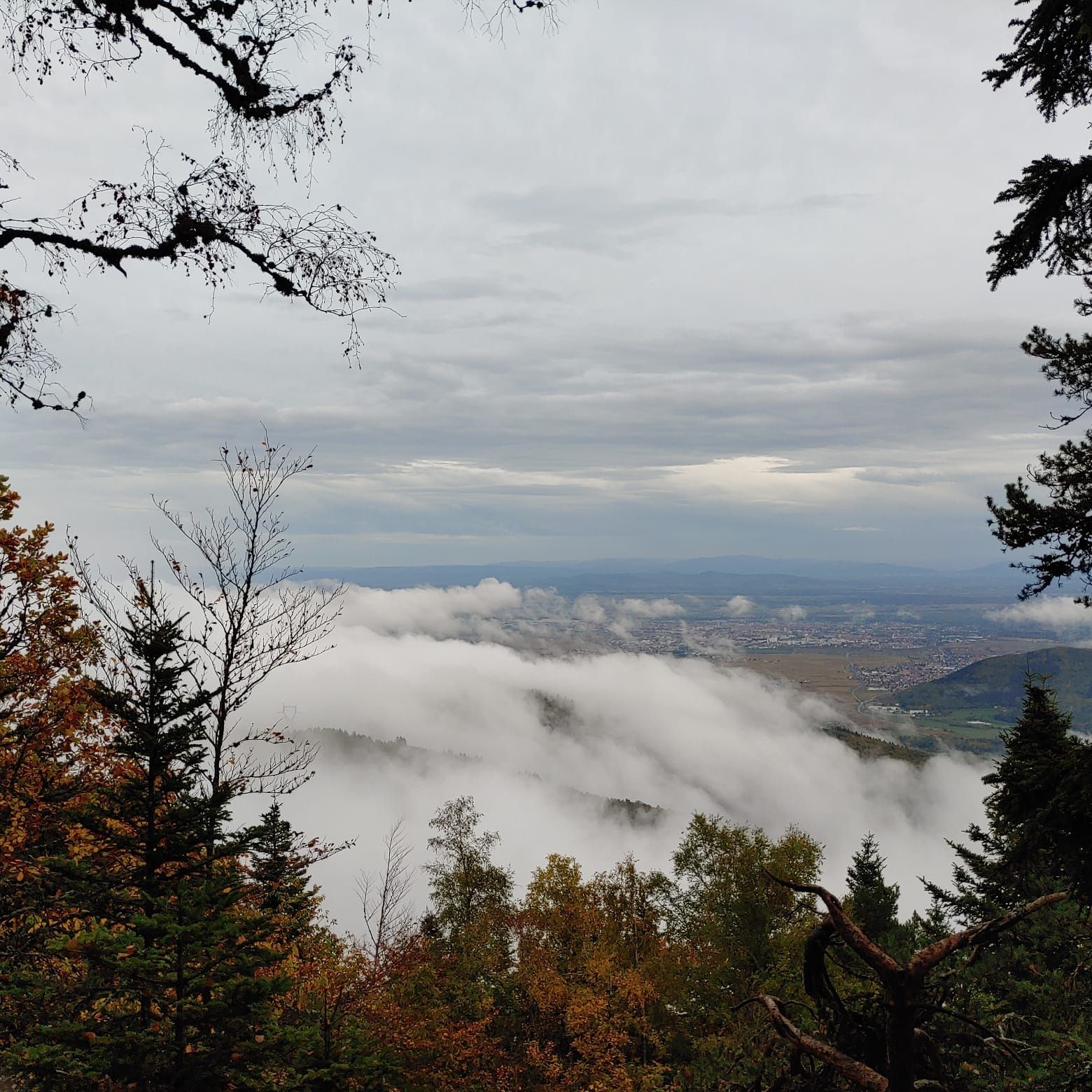 Paysage de haut avec du brouillard