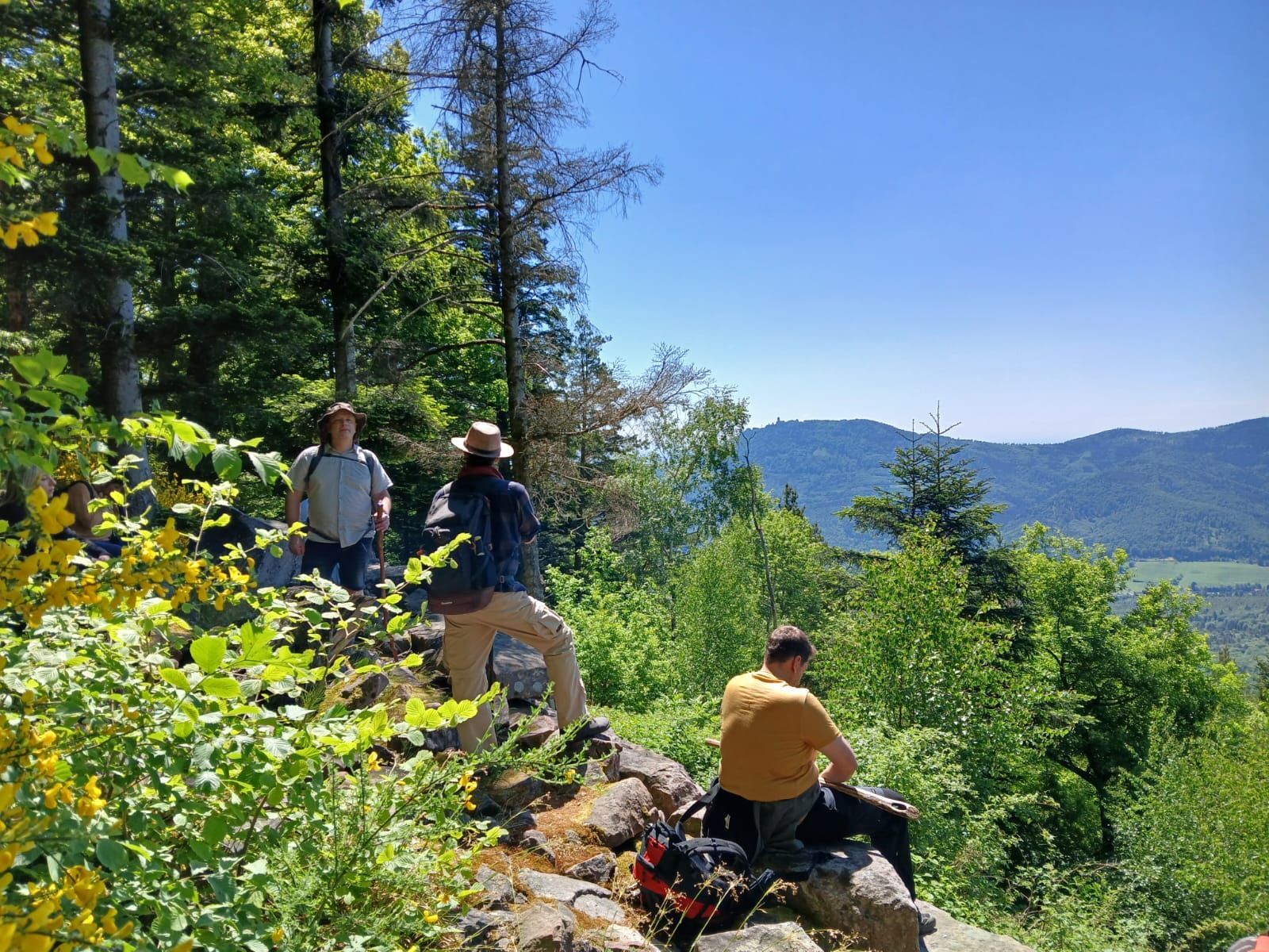 Plusieurs personnes en forêt