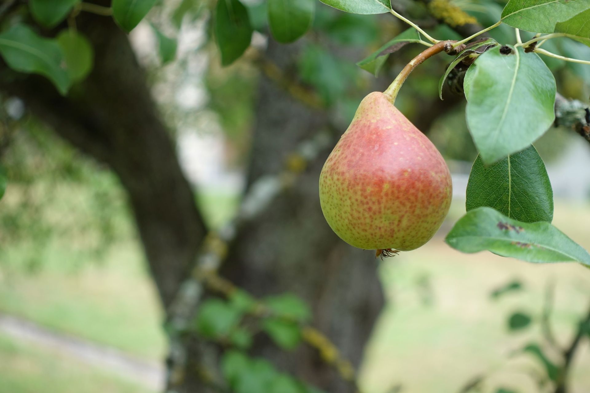 Lutertal Bolligen lutertal.ch