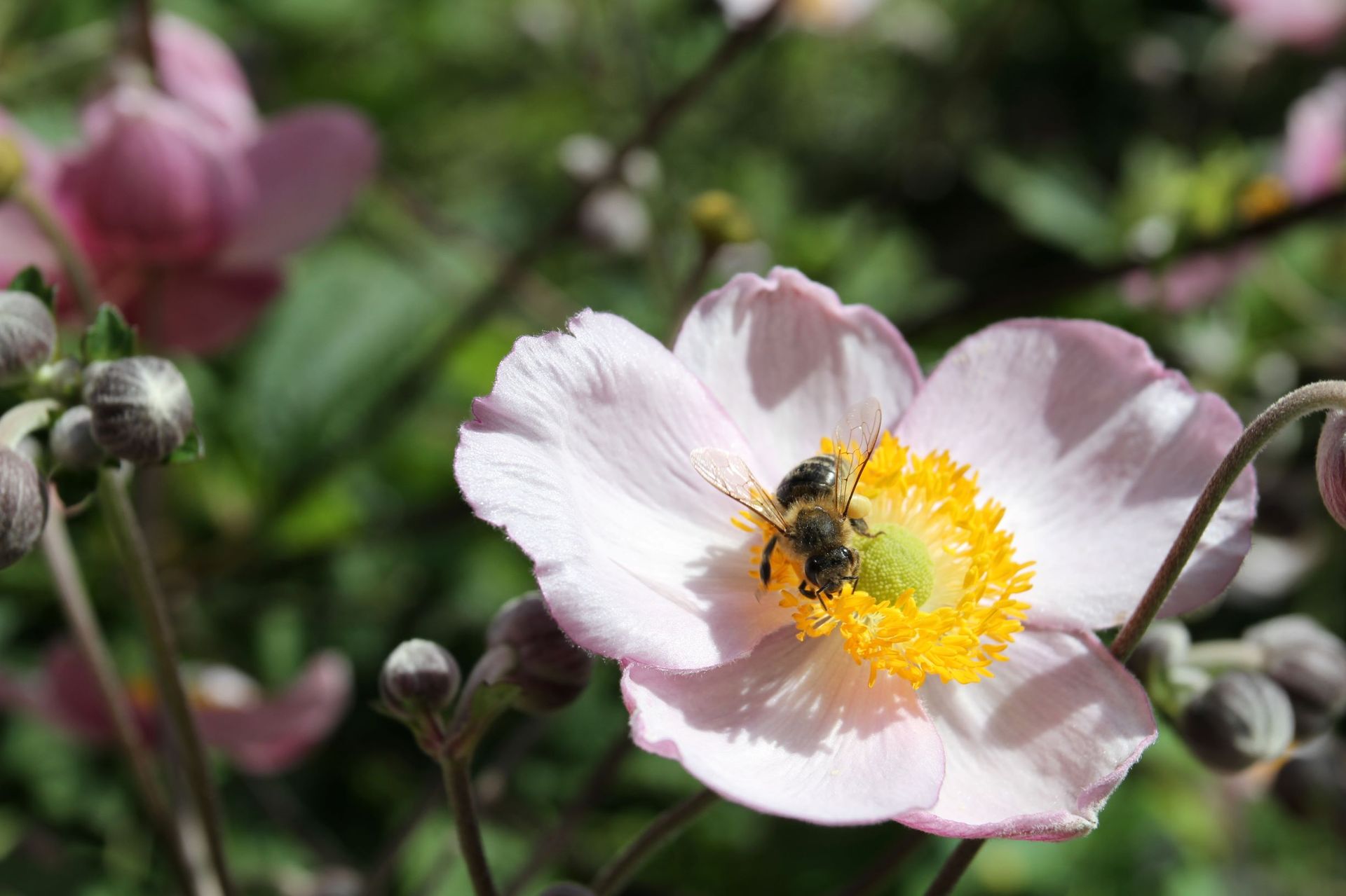 Lutertal Bolligen lutertal.ch