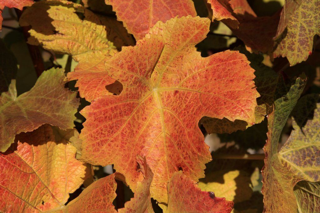 Lutertal Bolligen lutertal.ch