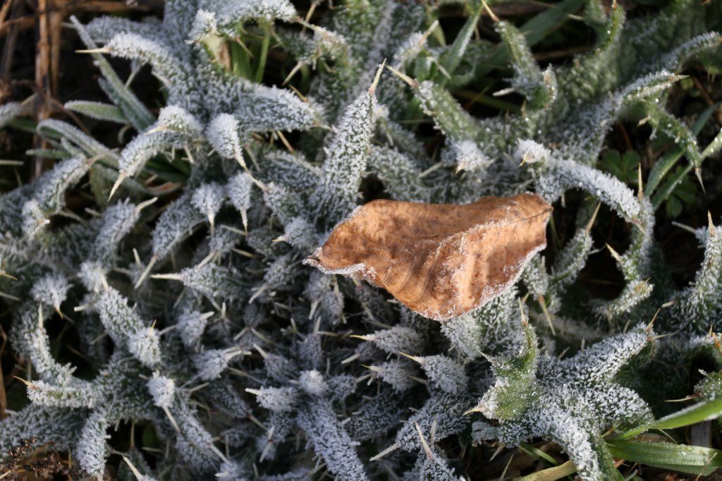 Lutertal Bolligen lutertal.ch