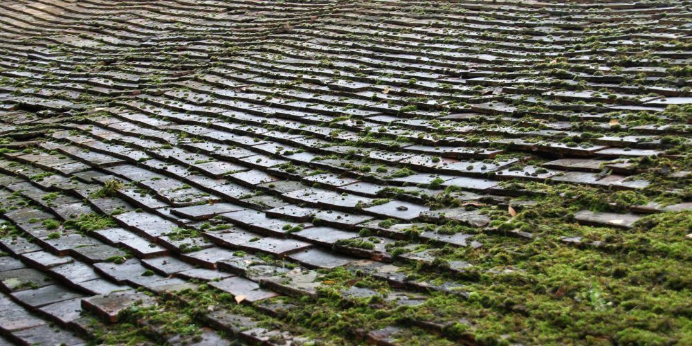 Gros plan sur un toit usé et recouvert de mousse, composé de bardeaux gris superposés.