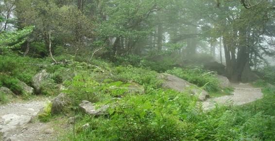 Psychologue - Relation adulte/enfant