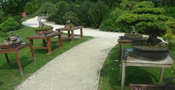 Anxiété, dépression, fatigue