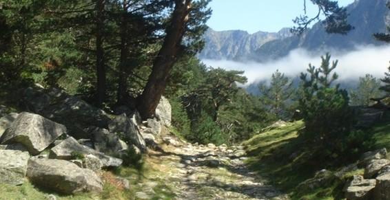 Troubles émotionnels - Dépression - Fatigue