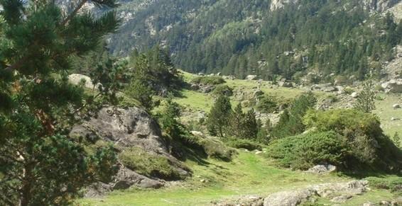 Psychothérapie - Sophrologie - Gestion du stress