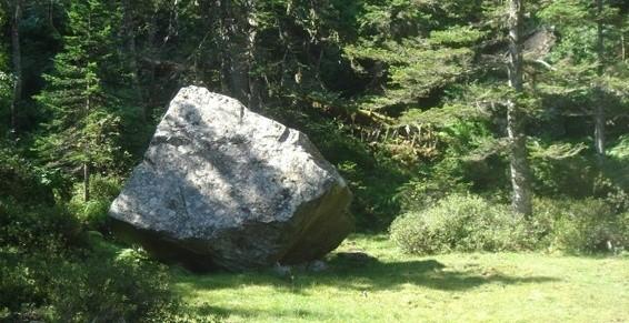 Psychologue, psychothérapeute et sophrologue