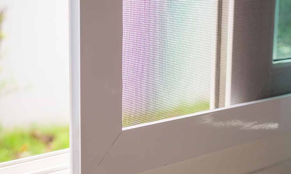 Weißer Fensterrahmen mit Fliegengitter, durch das Fenster ist ein hellgrüner Rasen zu sehen.