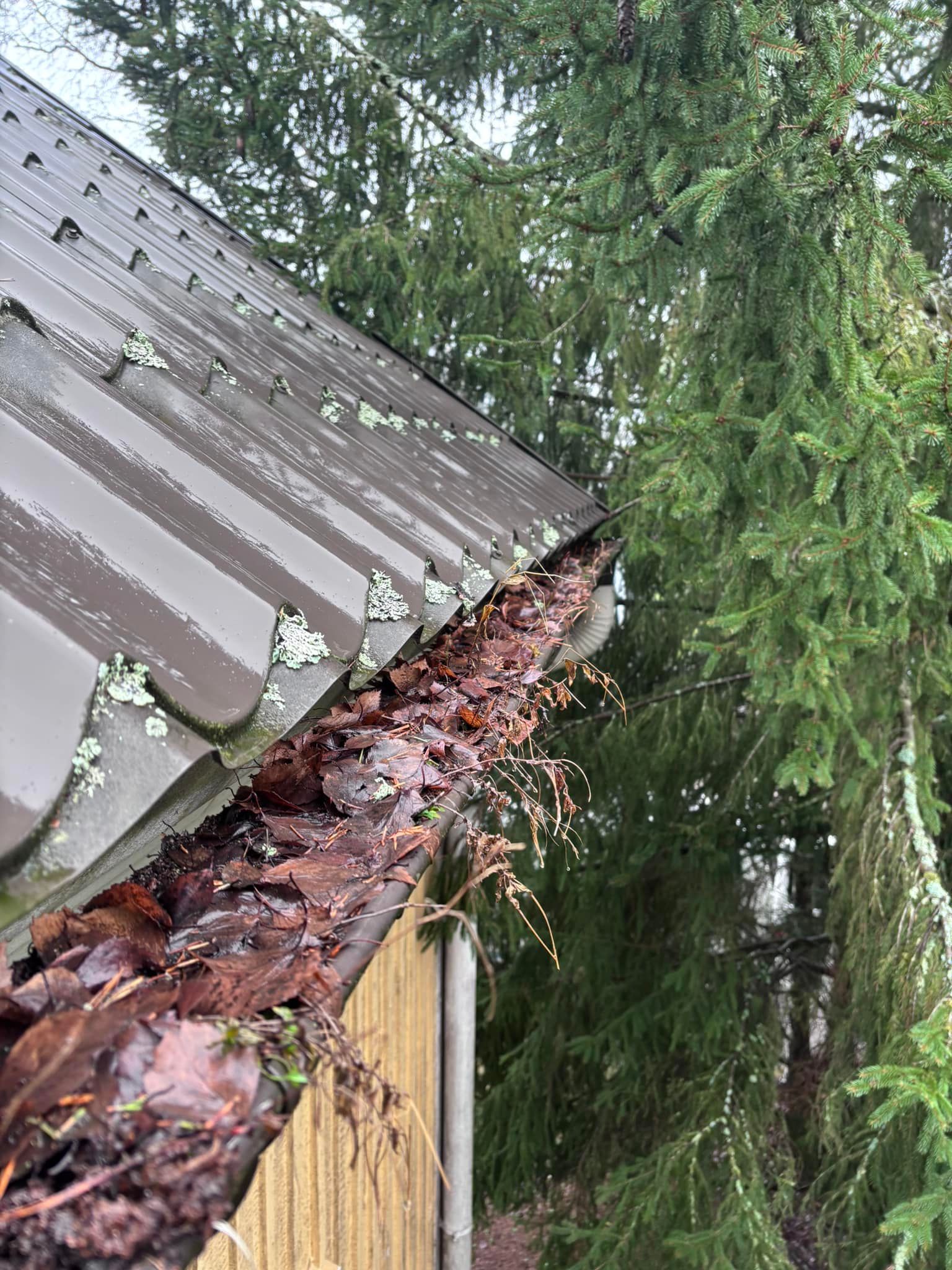 Rännien puhdistus ja kourujen tyhjennys lehdistä ja roskista Turussa.