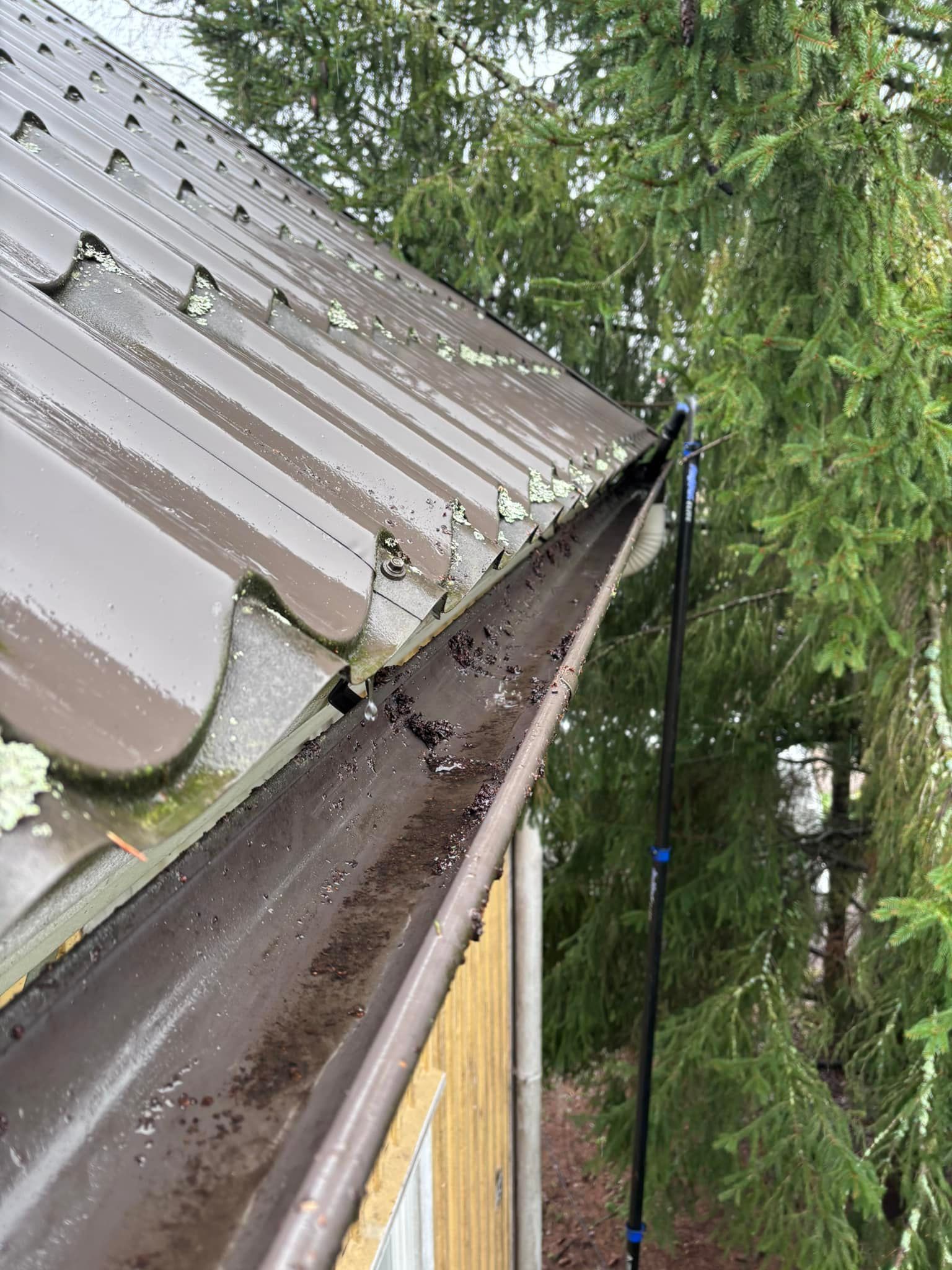 Rännien puhdistus ja kourujen tyhjennys lehdistä ja roskista Turussa.