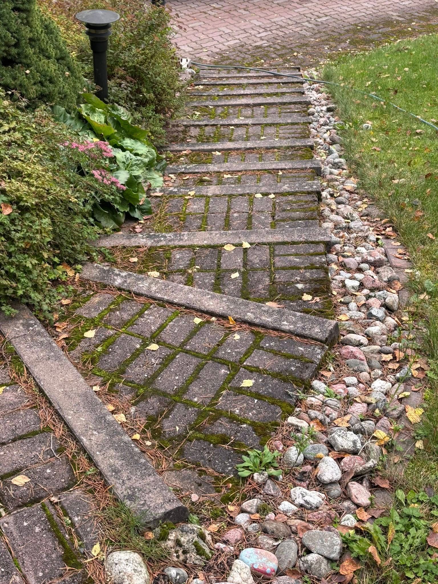 Pihalaattojen pesu ja puhdistus pinttyneestä liasta ja sammaleesta.