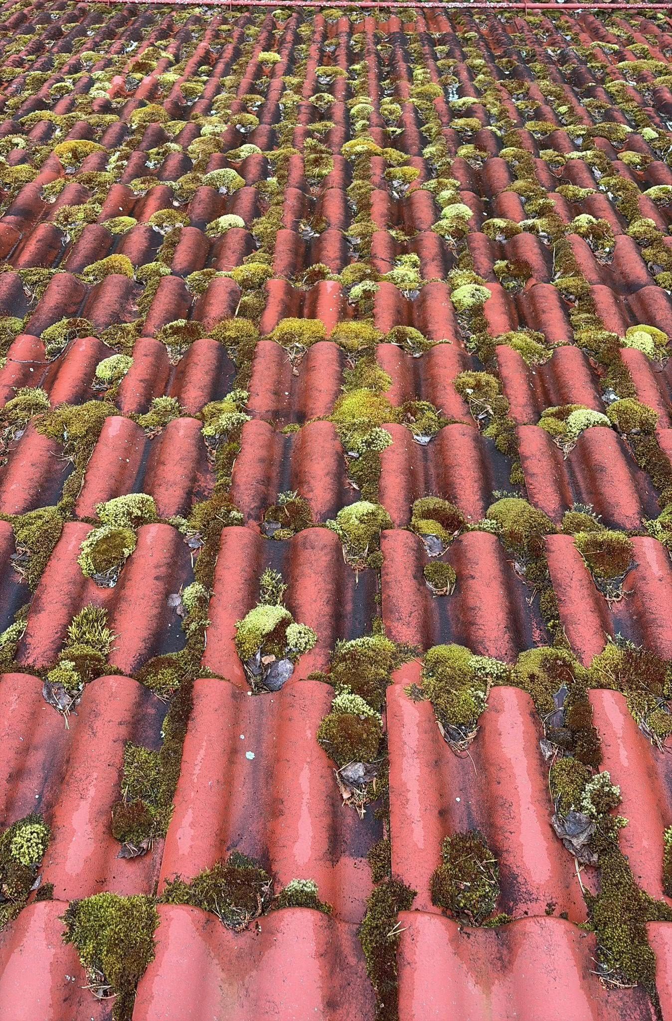 Katon pesu ja sammaleenpoisto tiilikatosta Turun seudulla.