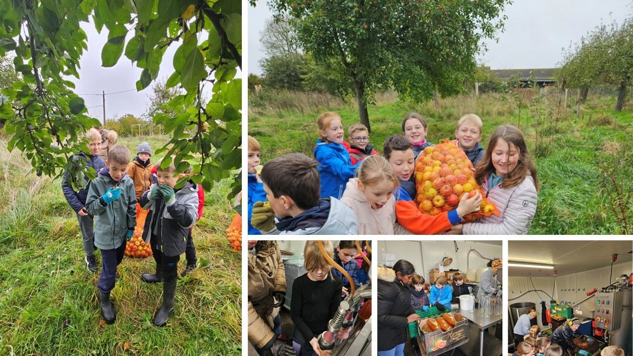 Des enfants cueillent des citrouilles dans un verger, avec un collage d'enfants souriants à l'intérieur et à l'extérieur.