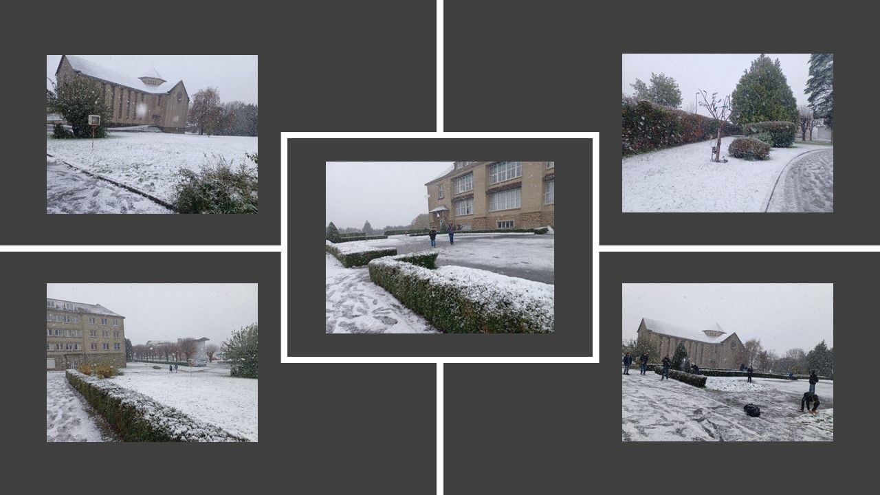 Collage de cinq scènes enneigées en extérieur, représentant le campus et le quartier, avec des arbres, des bâtiments et des allées.