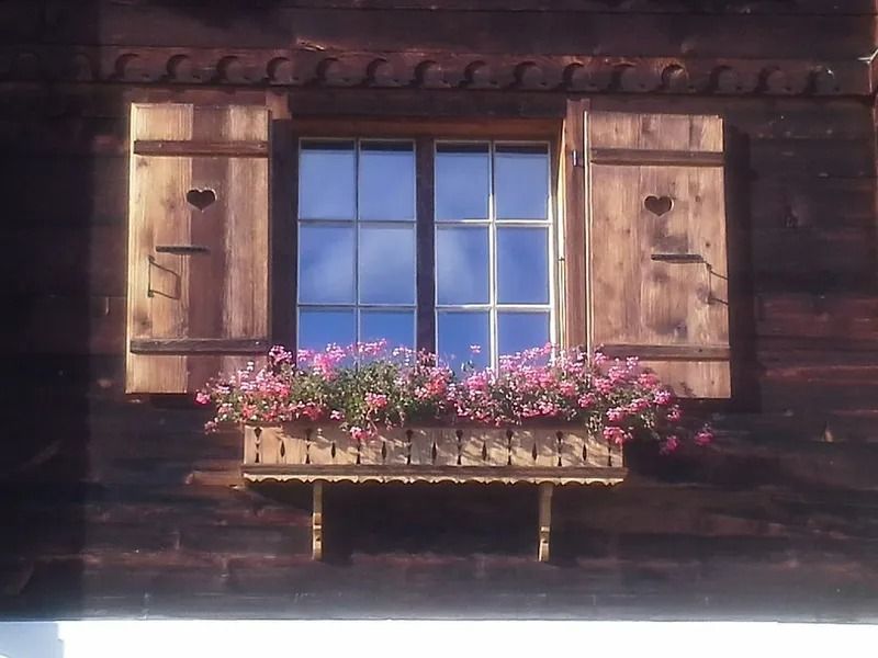 Fenêtre en bois d'une maison avec des fleurs roses dans une jardinière et des volets ouverts