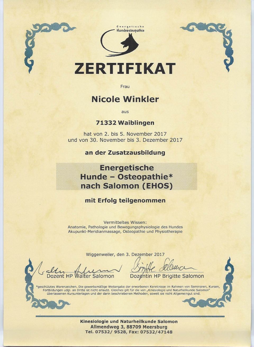 Zertifikat der Praxisleitung