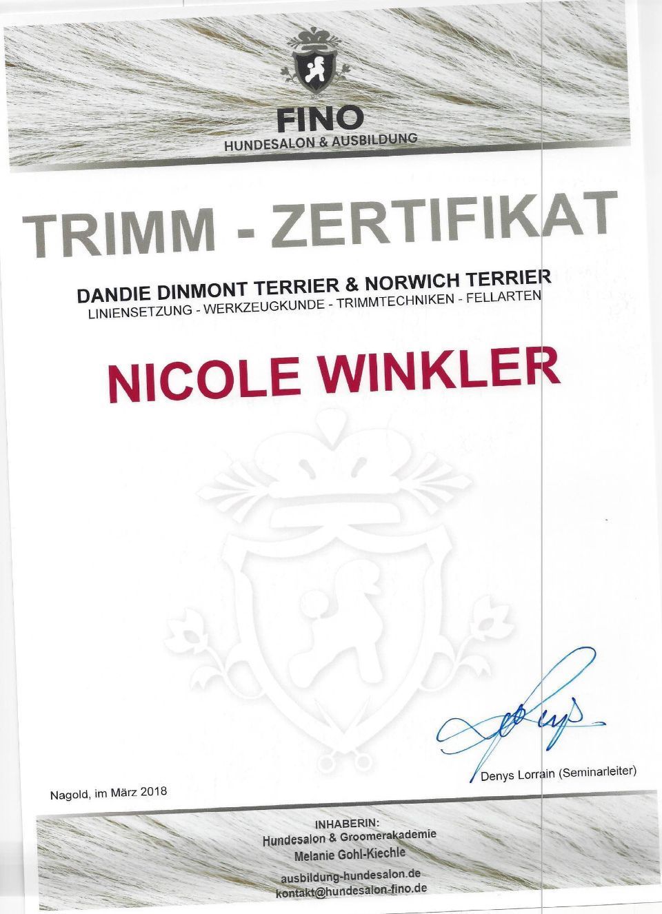 Zertifikat der Praxisleitung